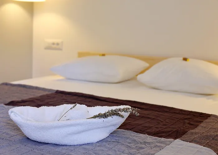 Apartment Guverna New Zadar