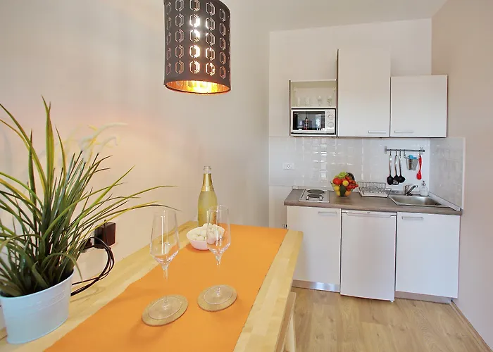 Guverna New Apartment *